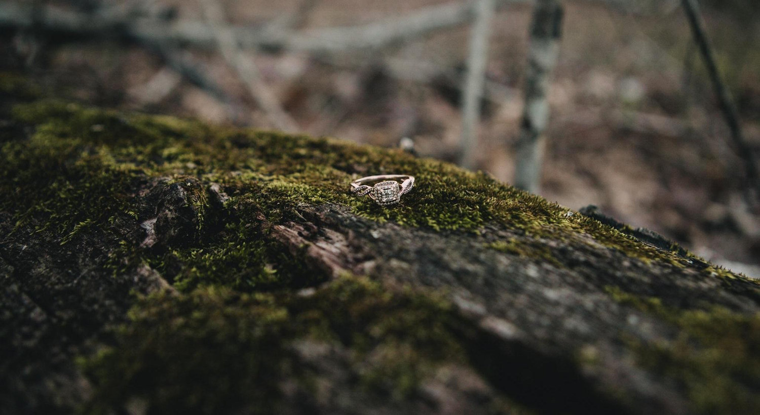 Footer image