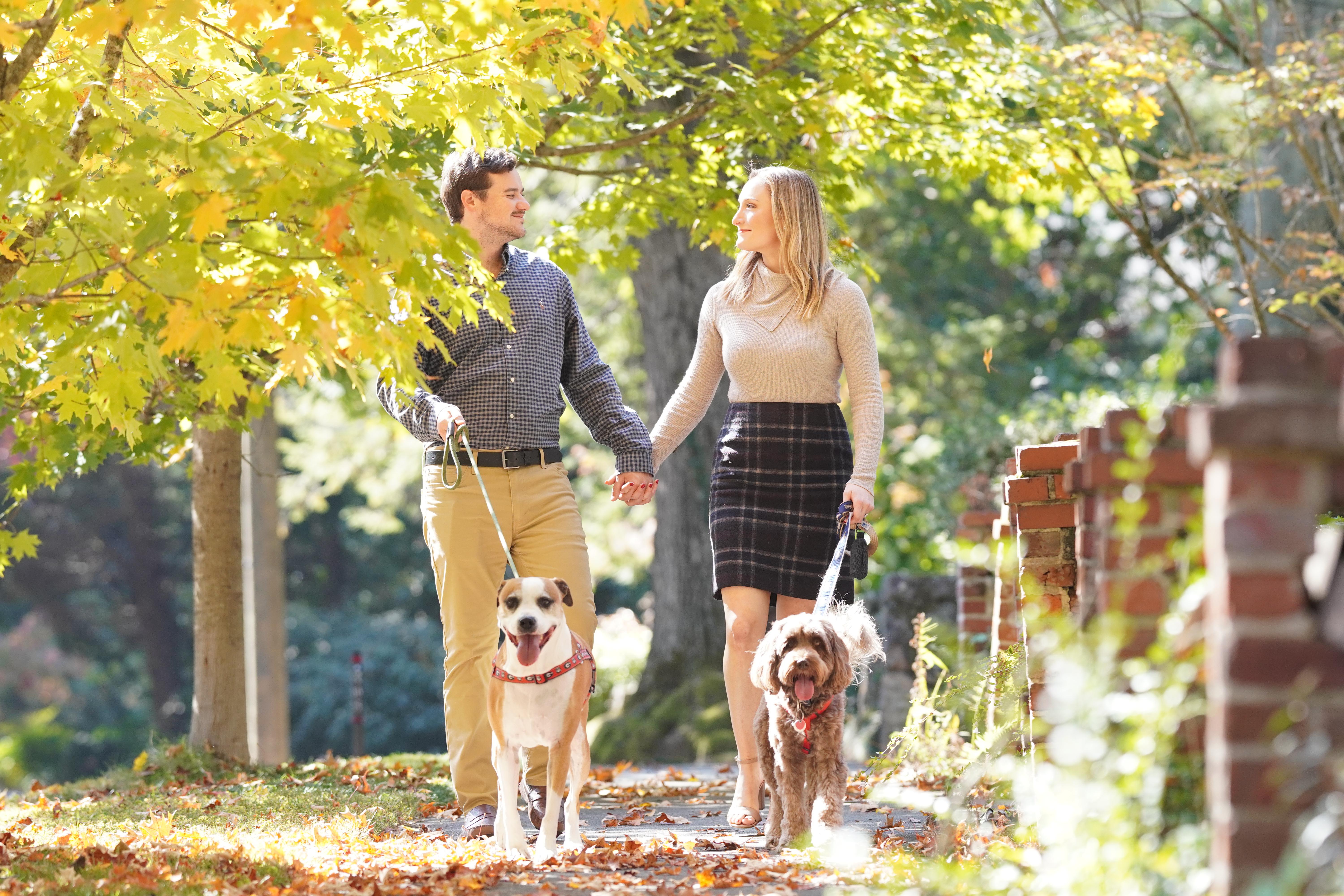 The Wedding Website of Ali Leake and Dent Law