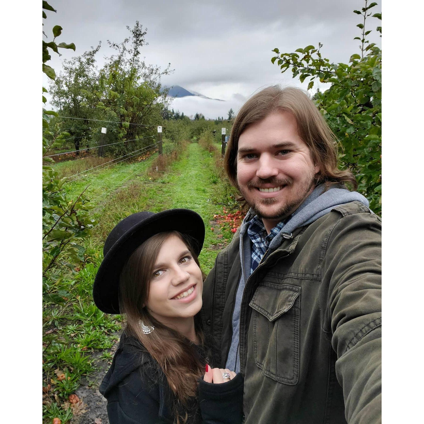 Apple picking north of Everett. October 2020