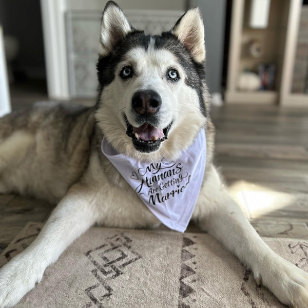 Loki Fund