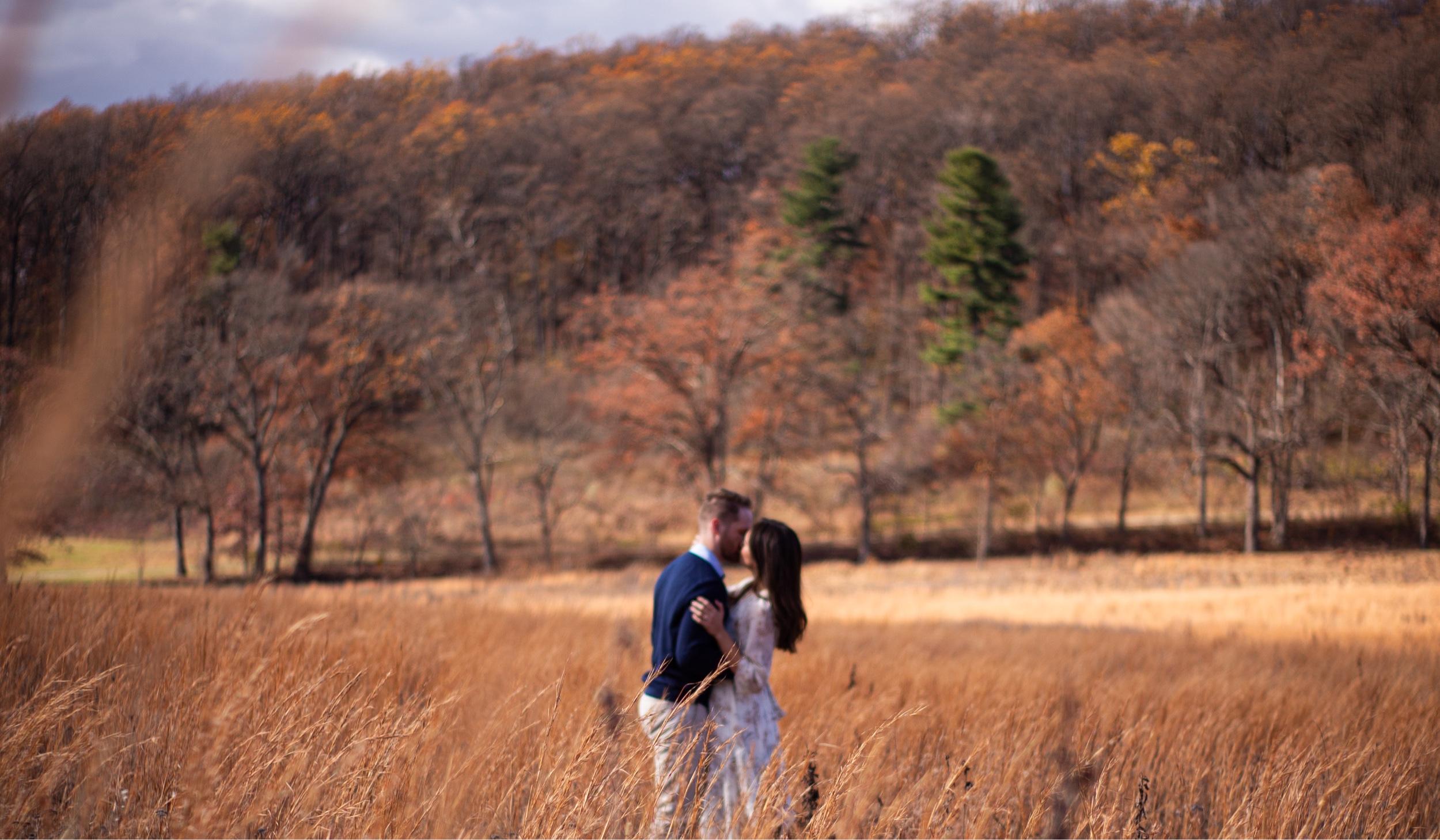 0ed89b21-6ce9-4bd2-a6a7-d368c9c4962f