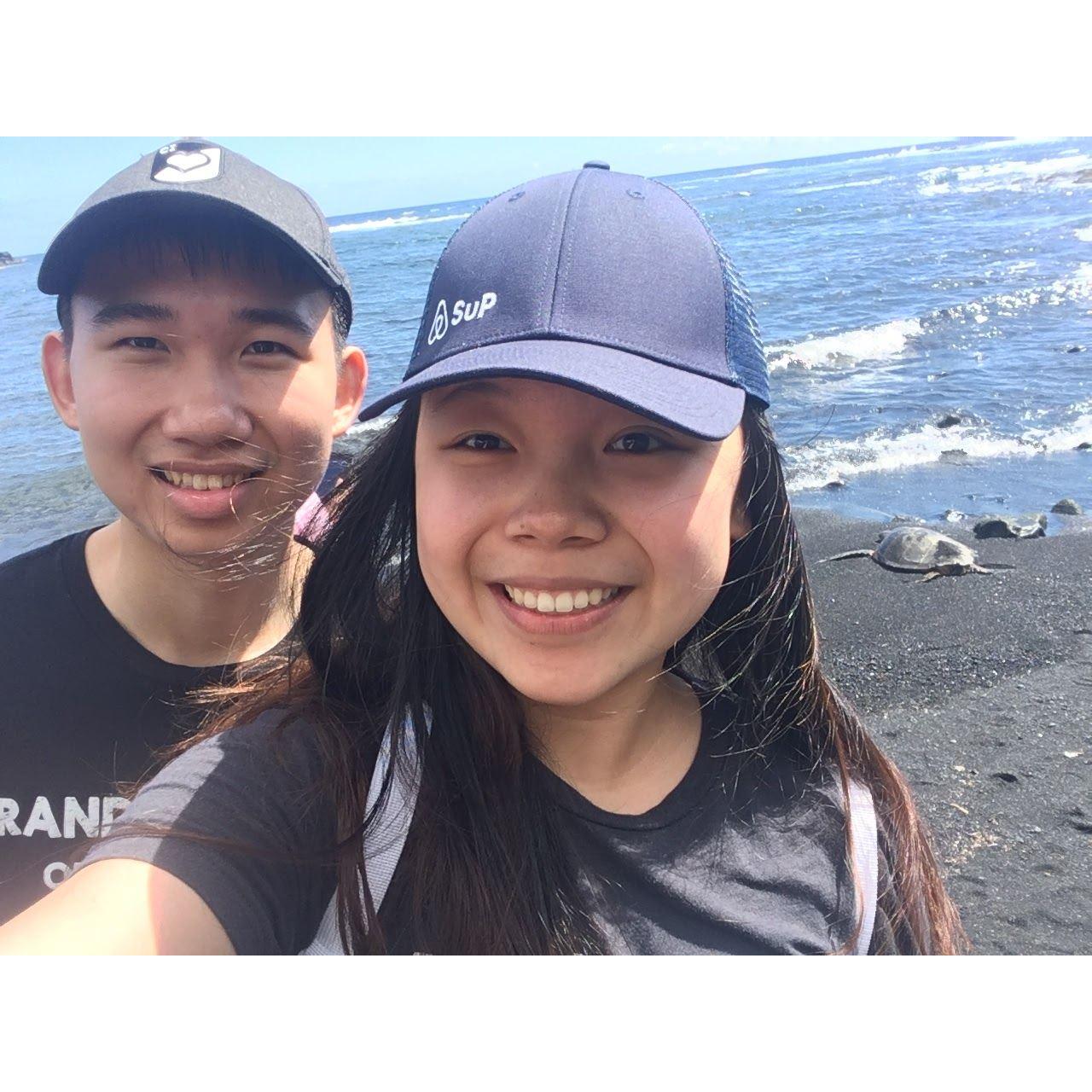 Peeping wildlife on a black sand beach on the Big Island. Not pictured: multiples signs that say "DO NOT RIDE SEA TURTLES."