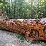Umstead Park