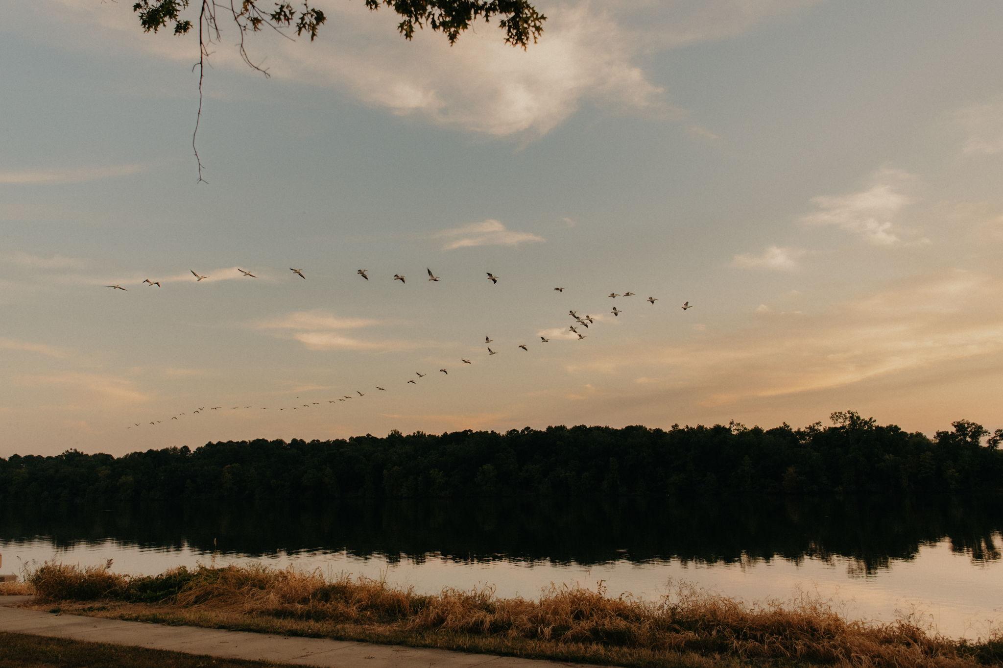 The Wedding Website of Antonella Campos and Hailee Norris