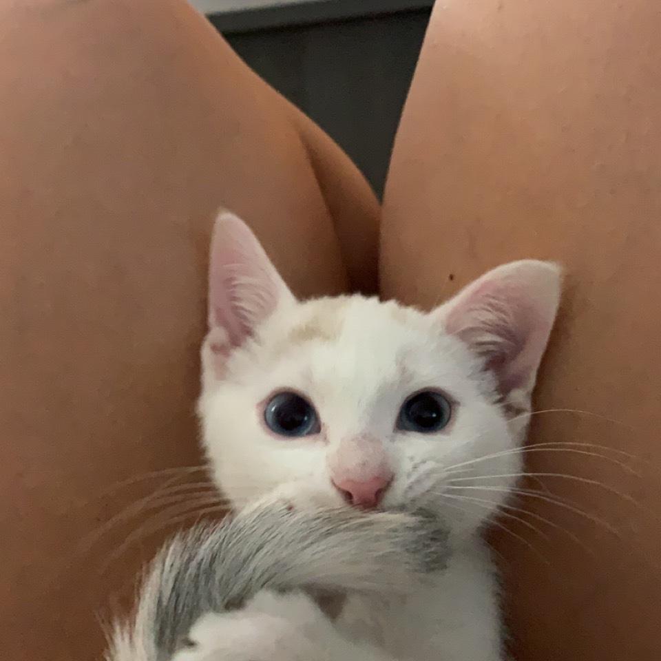 Brought this cutie home Nov. 5th 2021