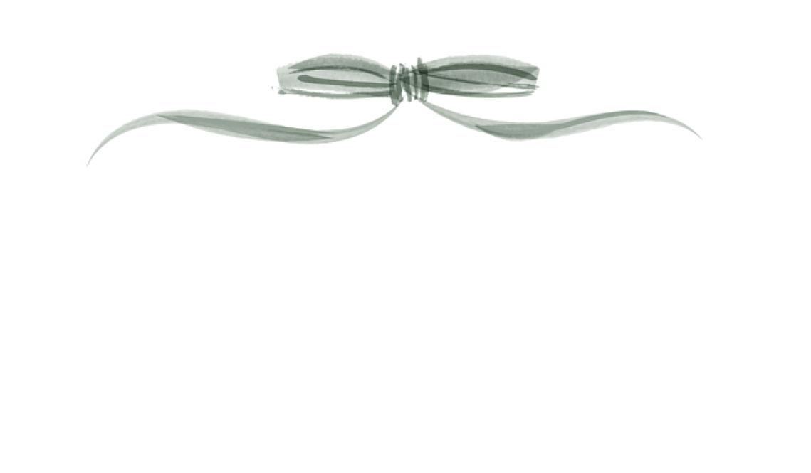 Footer image