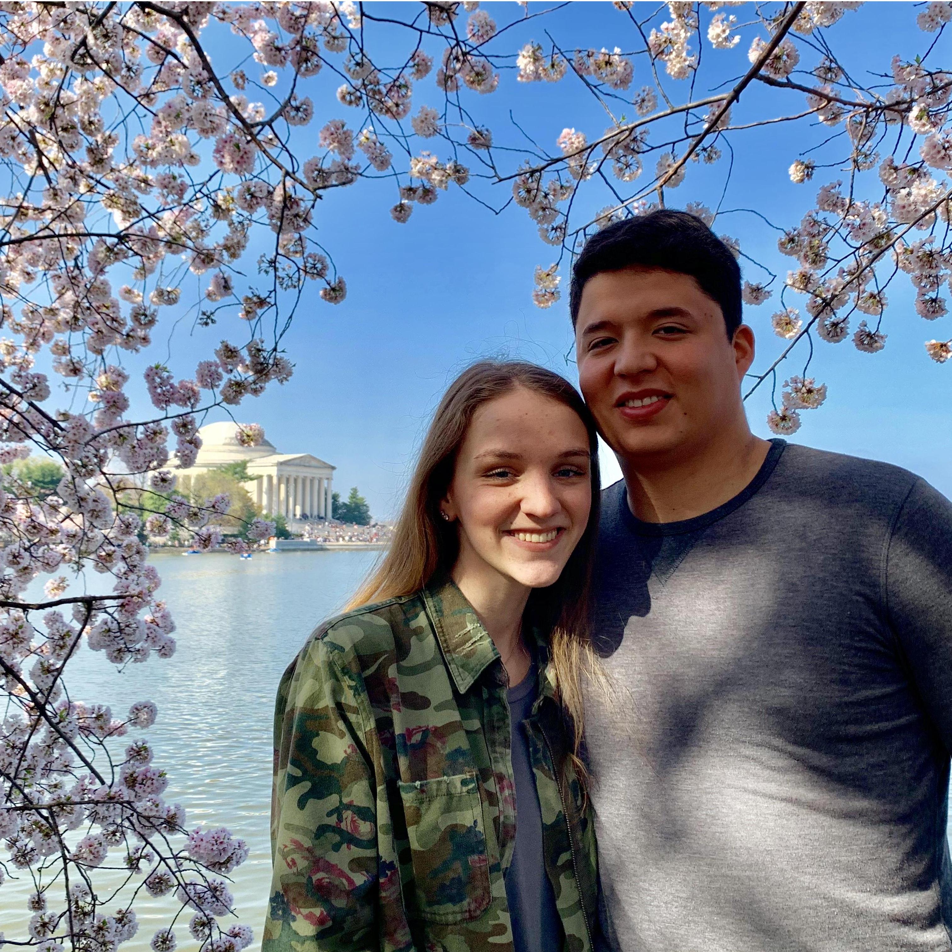 Cherry Blossom Festival in DC!