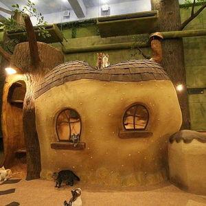 Coffee at a Ghibli-themed Cat Cafe