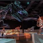 Houston Museum of Natural Science