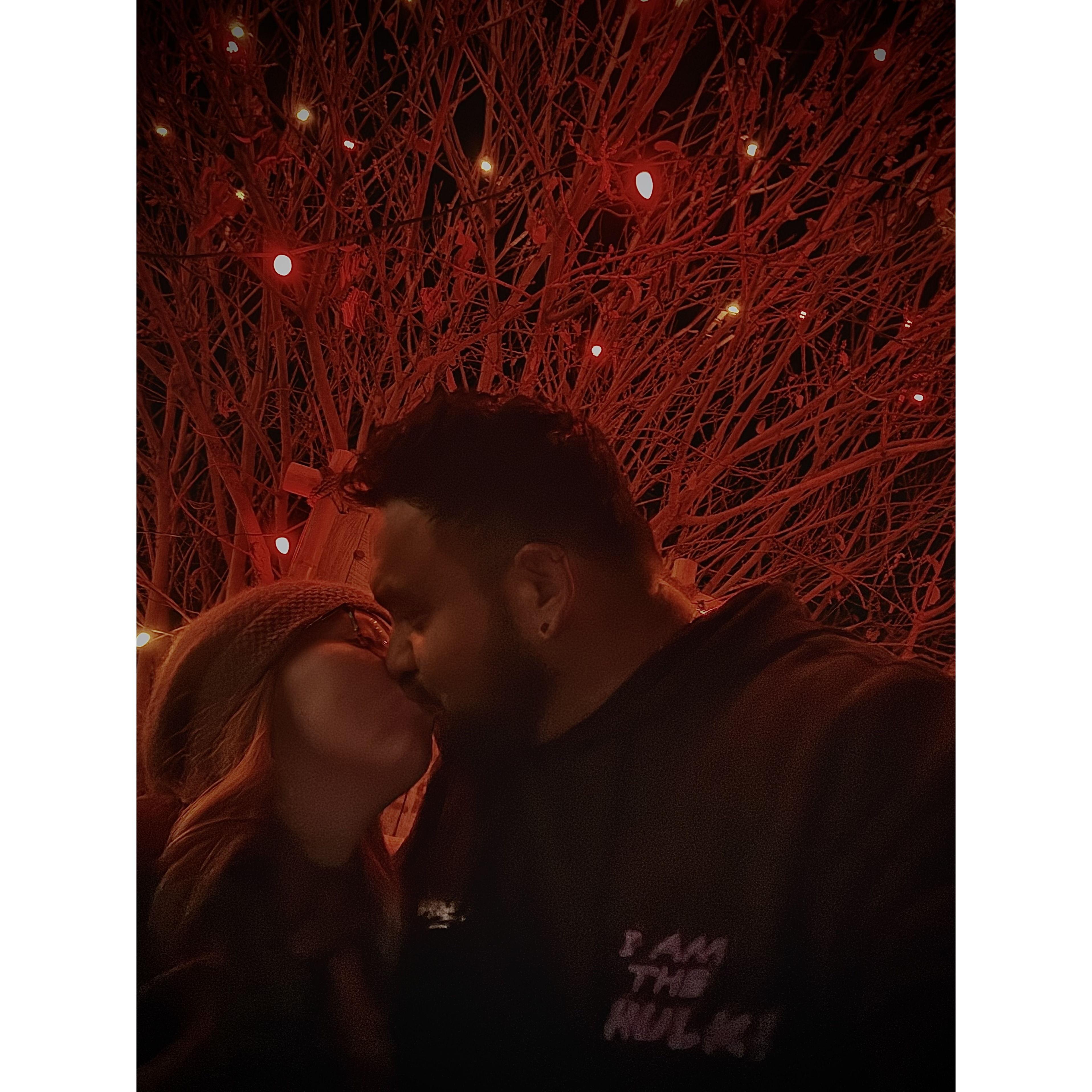 Zoo Lights 2024