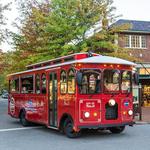 Hop On/Hop Off Trolly Tours