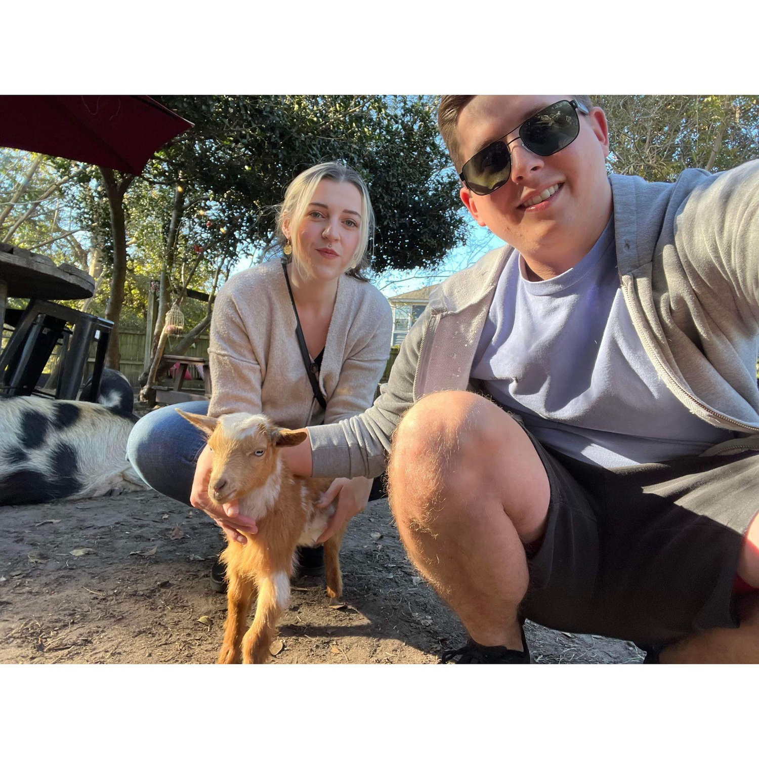 At an animal sanctuary in SC