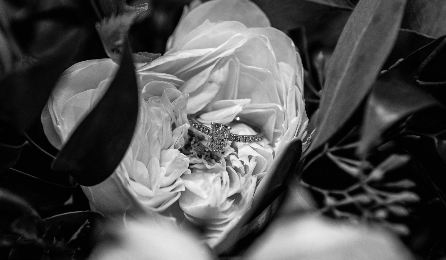 The Wedding Website of Sadie Pribanic and Brian Ferguson