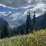 Mount Rainier National Park
