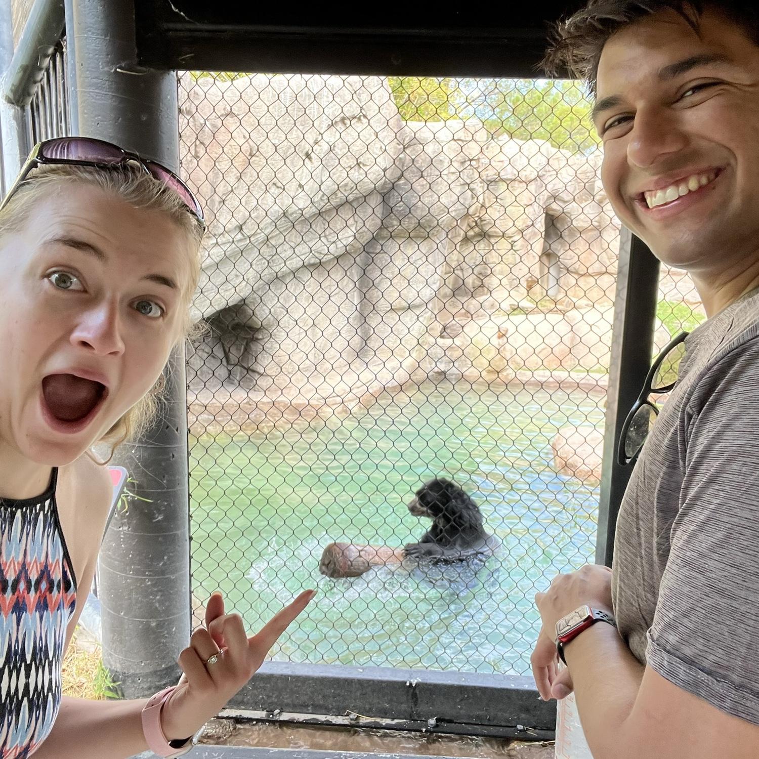 Day trip to the Reid Park Zoo! It was SO HOT!! We loved this little bear!