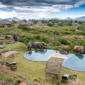 African Safari Honeymoon