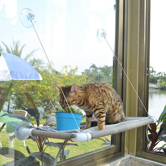 Pupagree Cat Window Hammock Cat Window Mounted Perch Cat Resting Shelf 360° Sunny Seat Space Saving Cat Beds for Indoor Cats