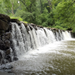 Ridley Creek State Park