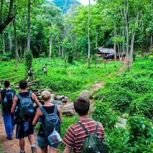 Trekking in Chiang Mai