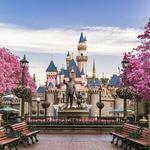 Disneyland Resort & Park