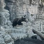Saint Louis Zoo