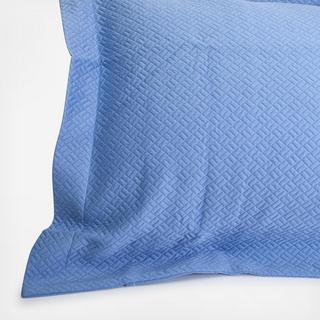 Soleri Sham