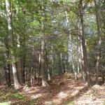 York Land Trust Trails