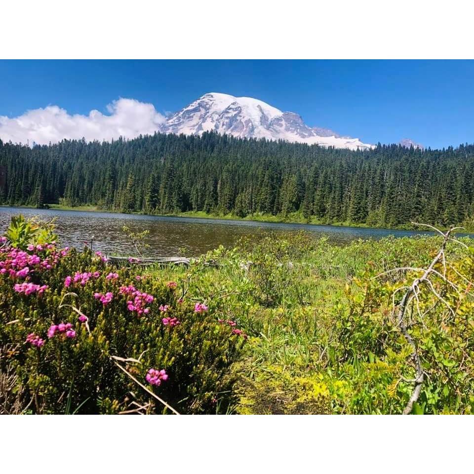 Where we got married - Reflection Lake in Rainier National Park