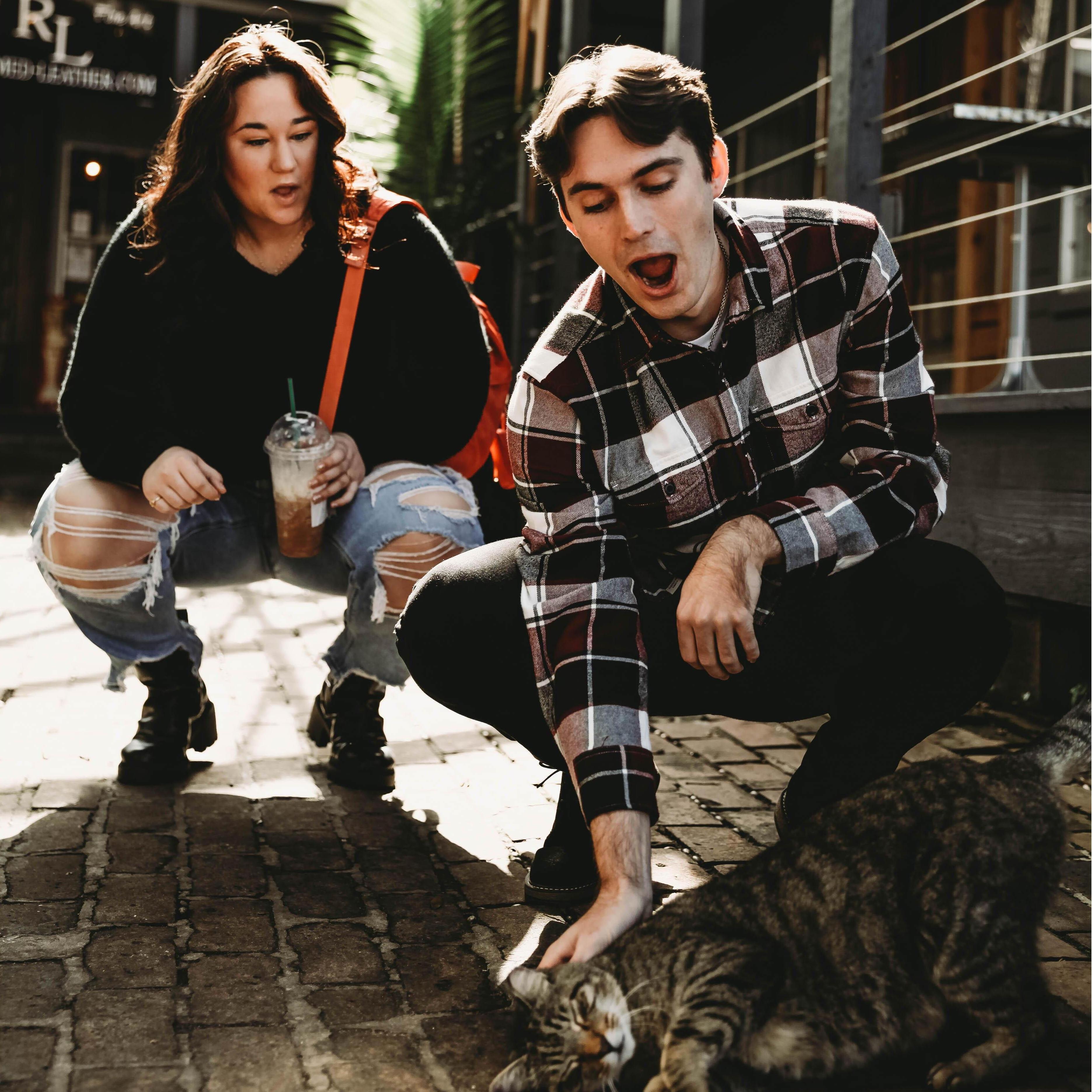 we found a stray cat at old town spring!