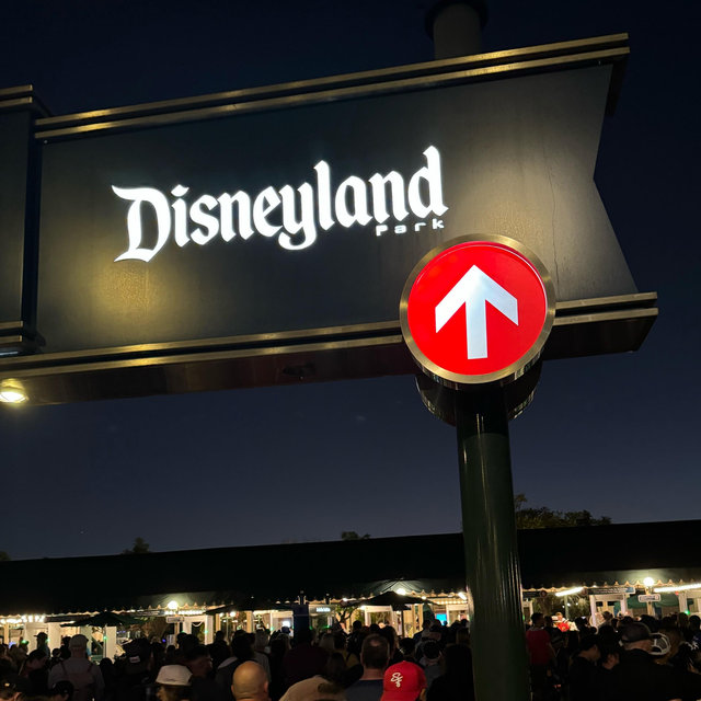 Honeymoon at Disneyland !!!