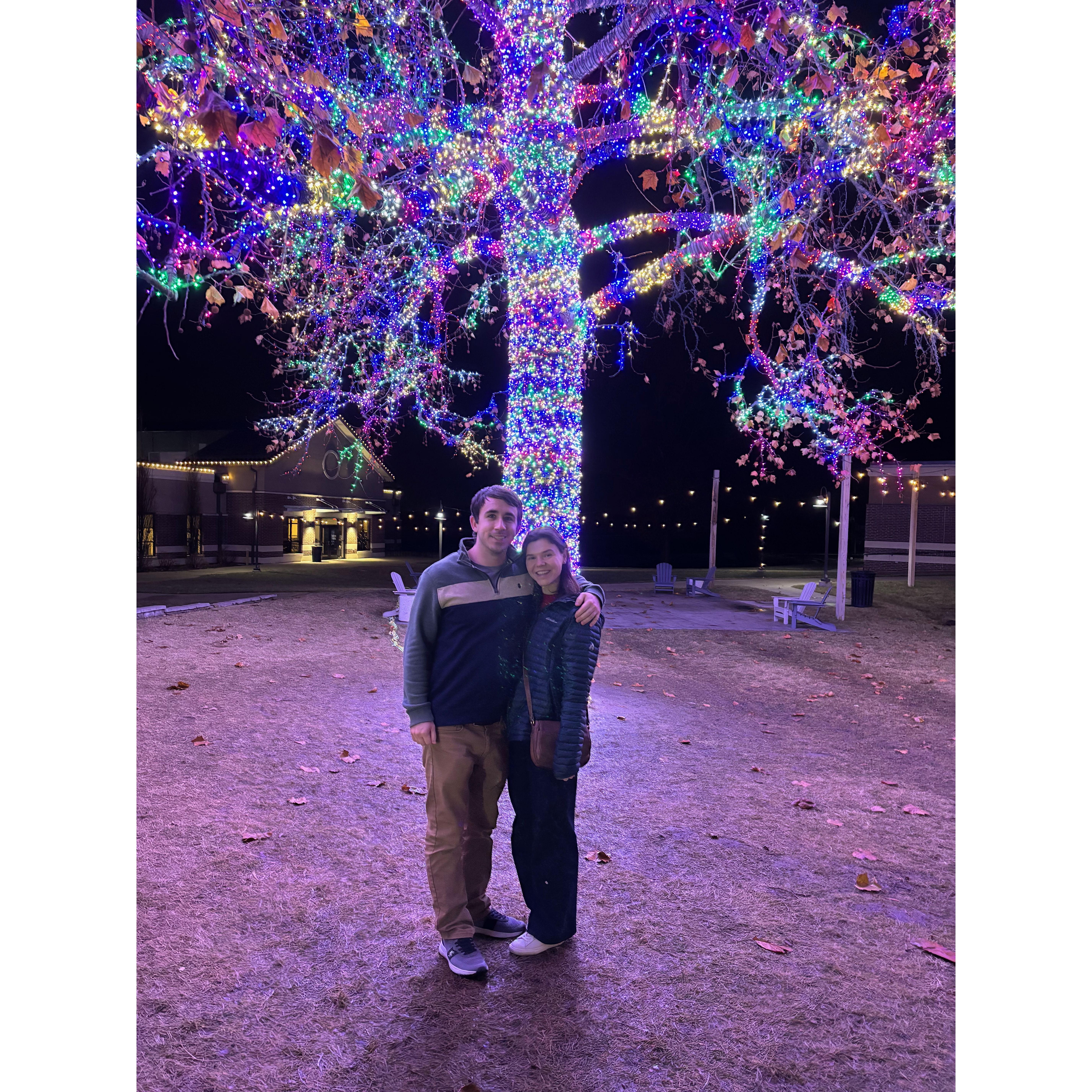 Magic Tree - Dec. 2024, Columbia, MO