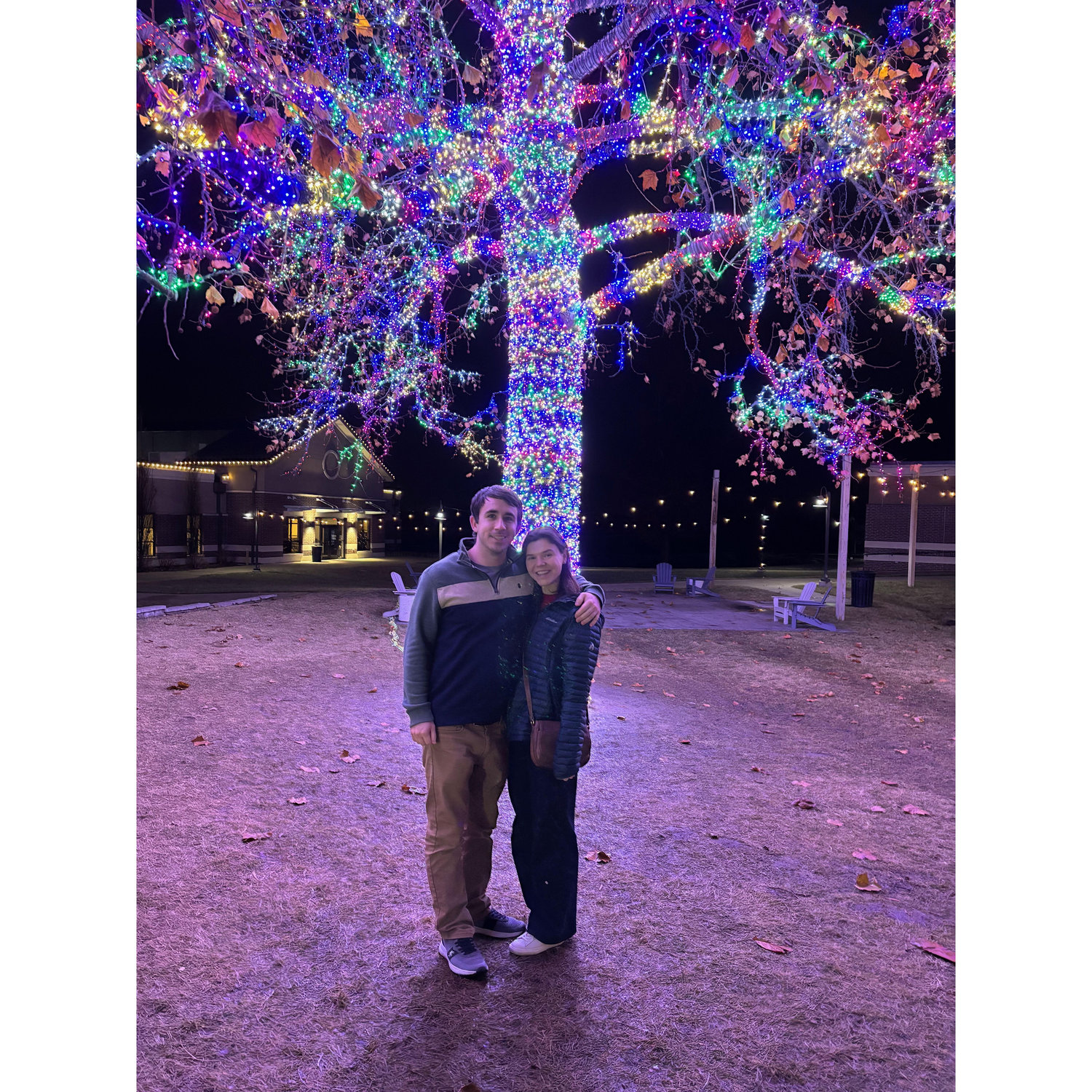 Magic Tree - Dec. 2024, Columbia, MO