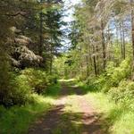 Putney & Saratoga Woods Trail Systems