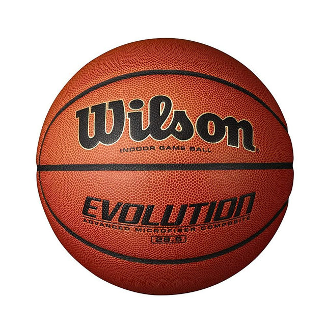 Wilson Evolution Game Basketball