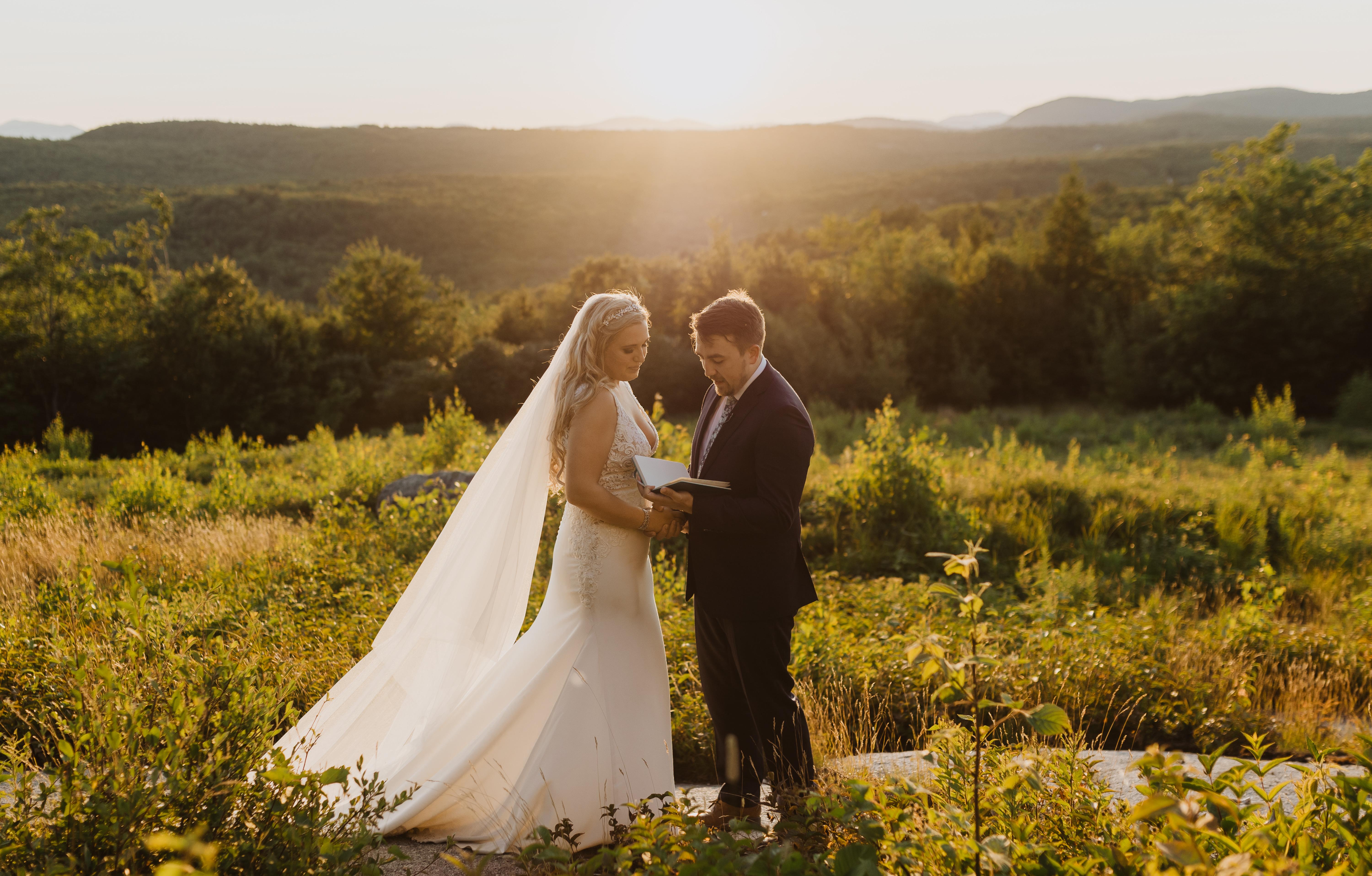 The Wedding Website of Jacqueline Wisnik and Paul Rainville