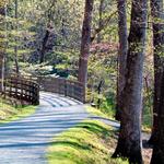 Saunders-Monticello Trail