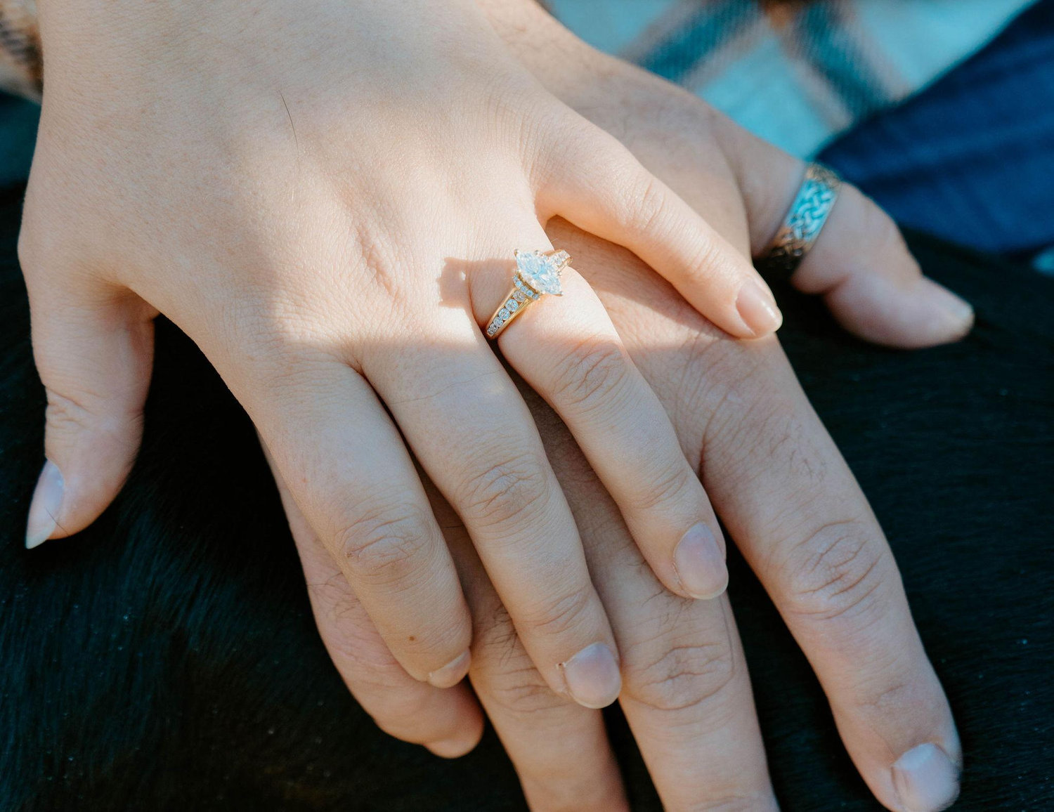 The Wedding Website of Michael Young and Sierra Kreamer