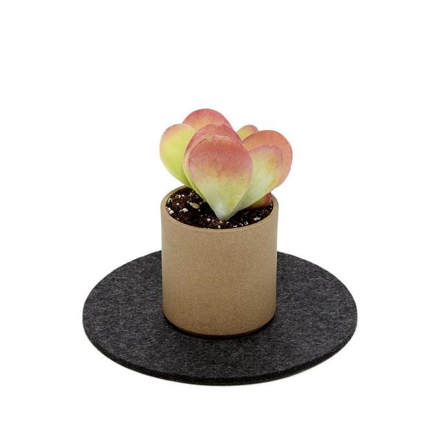 Round Trivet Felt 8”