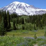 Mount Rainier National Park