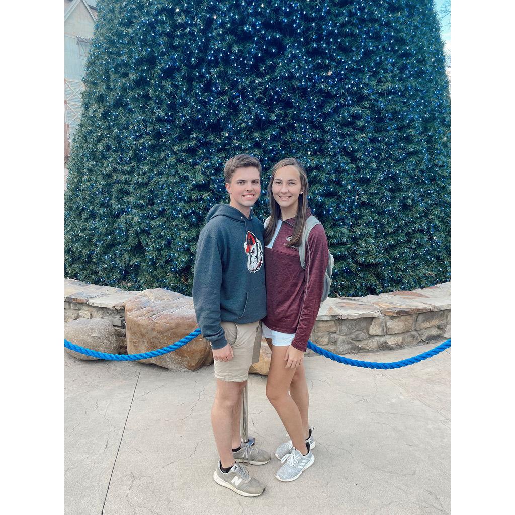 Many Dollywood trips