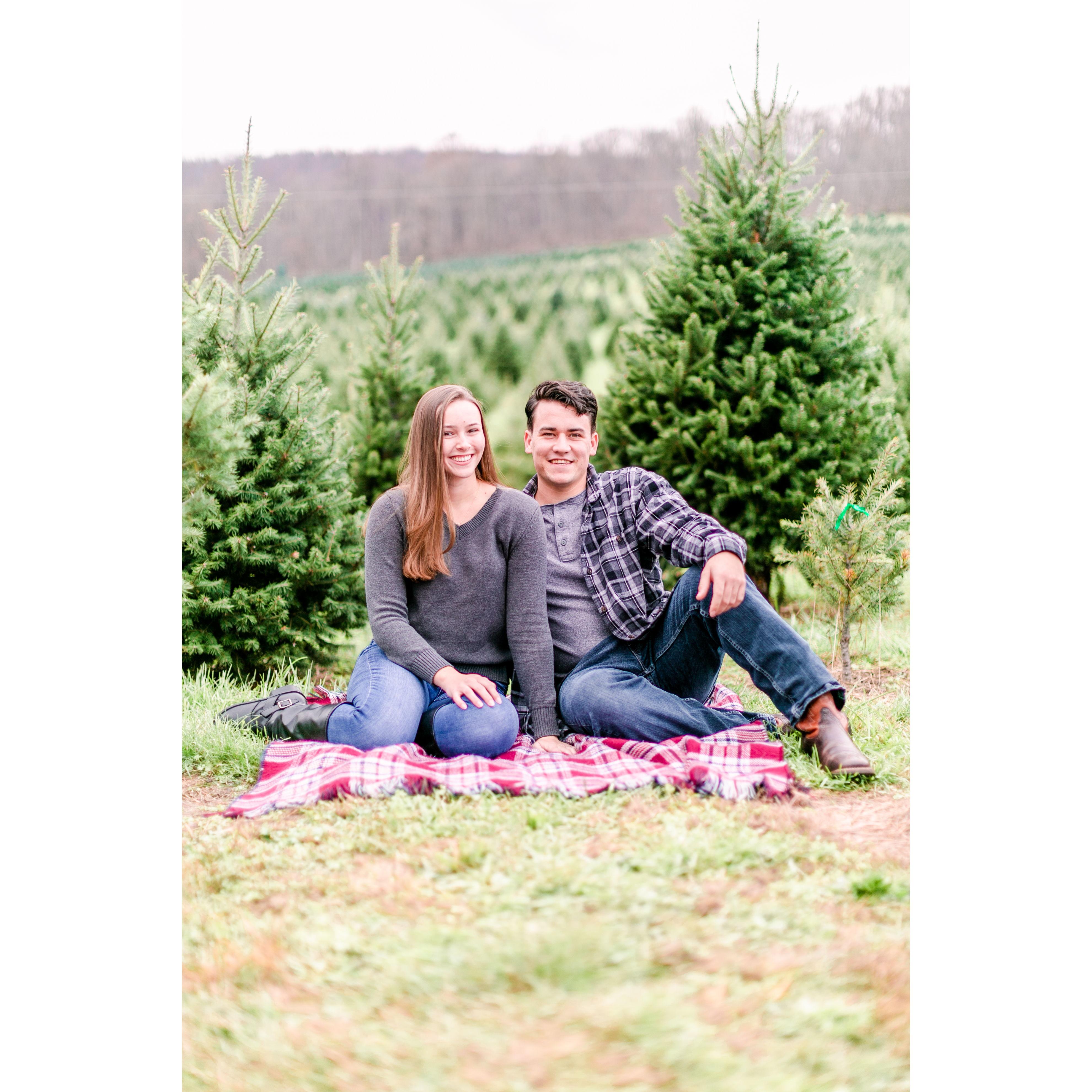 November 21, 2020: Christmas pictures a the Christmas Tree Farm