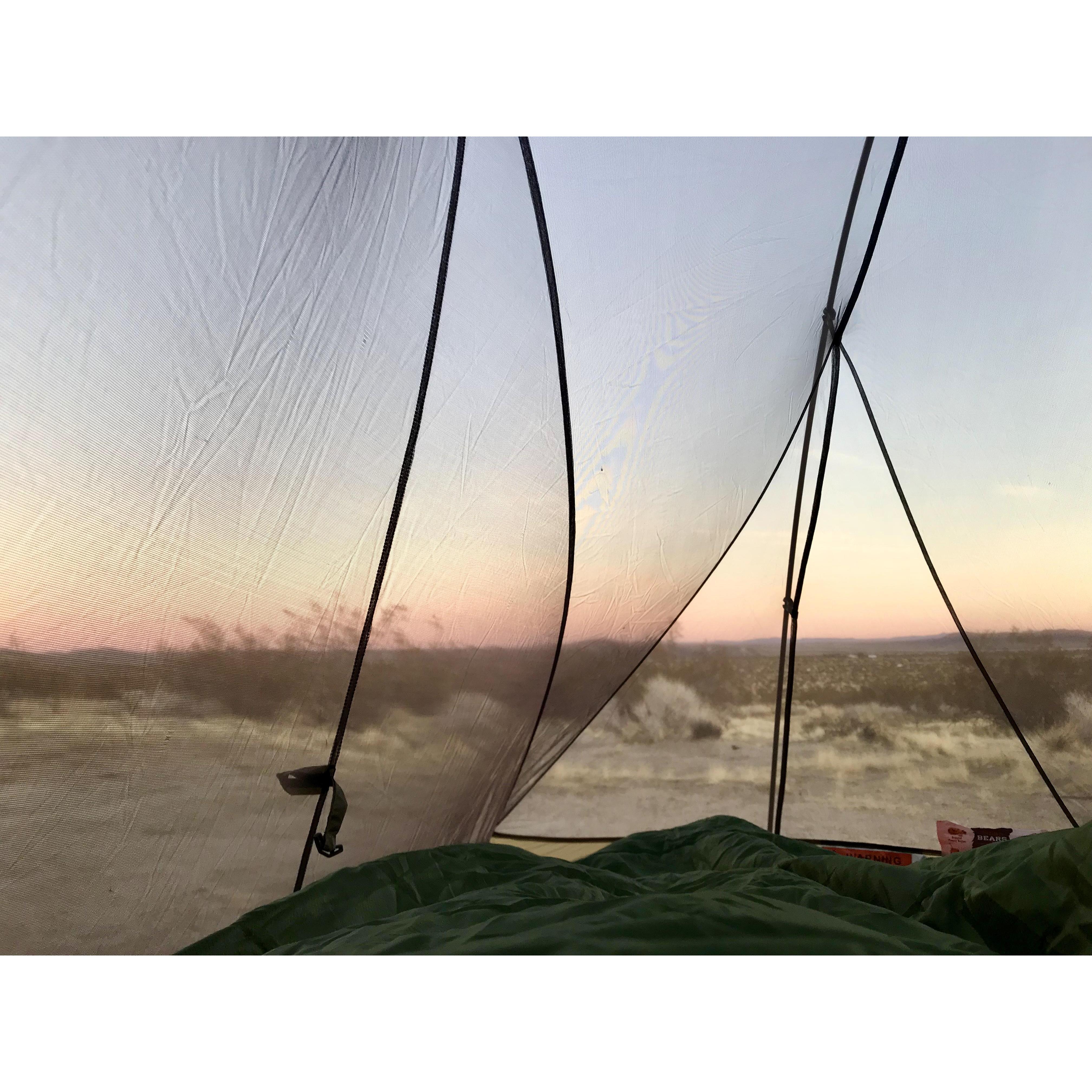 Our favorite thing to wake up to.