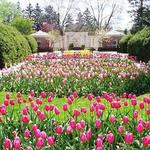 Kingwood Center Gardens