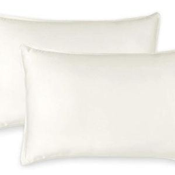 Queen Pillowcases by Pure Bamboo, (2 Queen Pillowcases, Ivory)