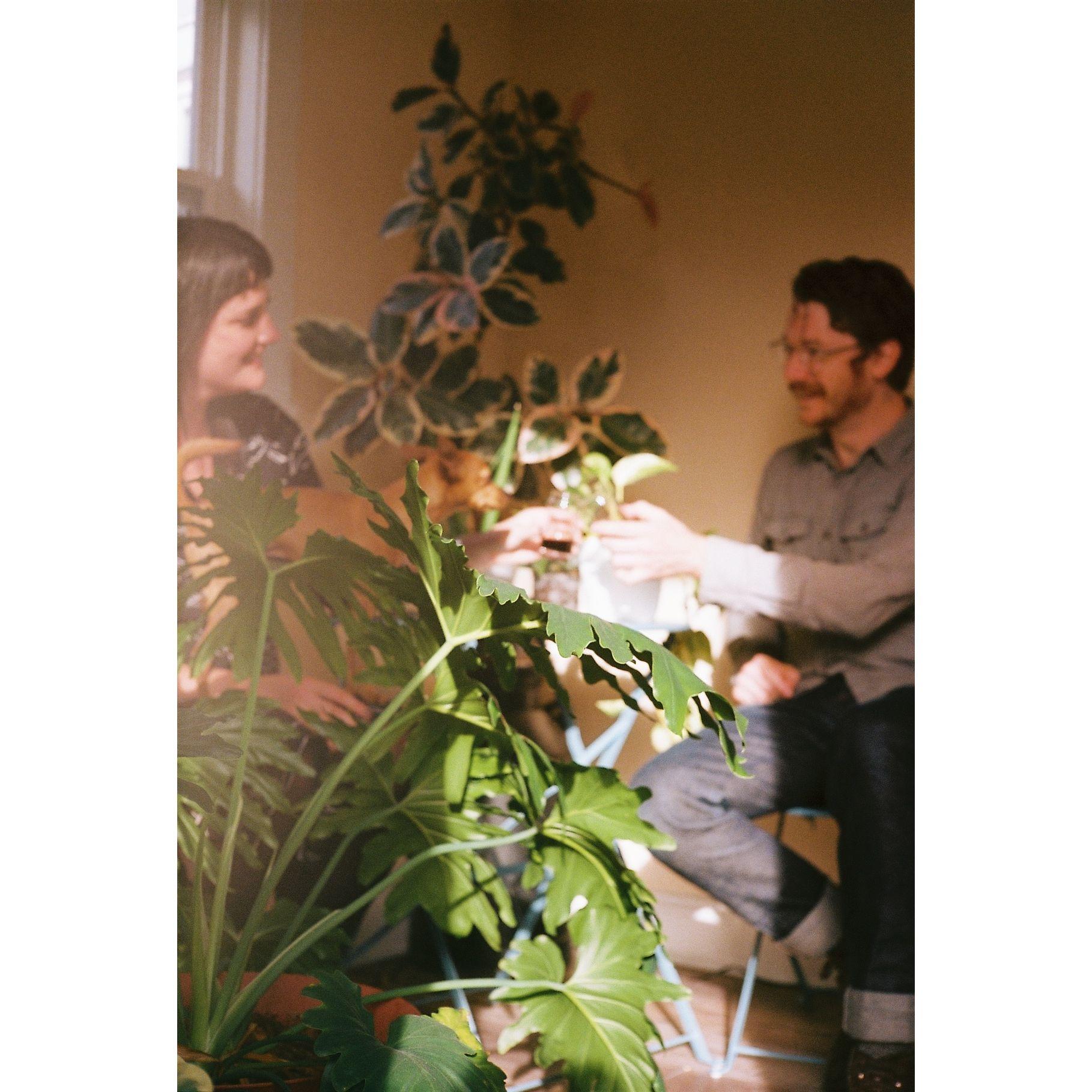 p. Erin Pophal / Three Dice Studios