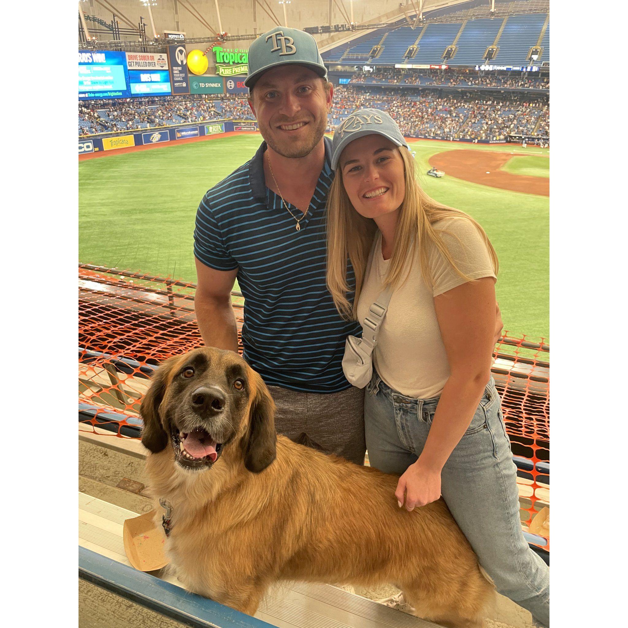 We fell in love with the Tampa Bay Rays and started going to a lot of games. We even got to bring Sonder!