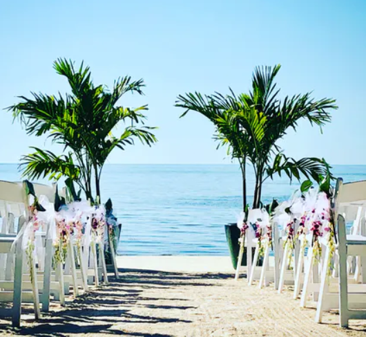 The Wedding Website of Alexander Godwin and Bethany Emswiller