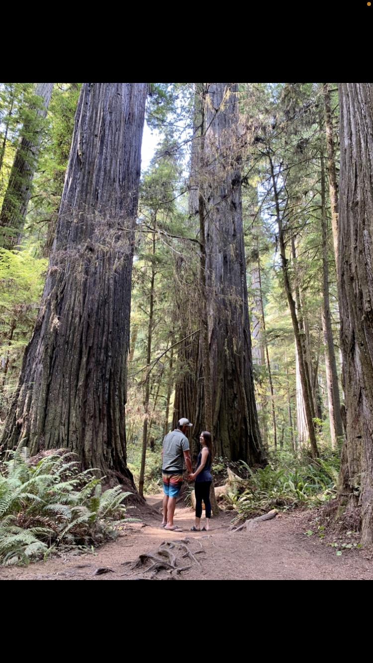Redwoods and clean air