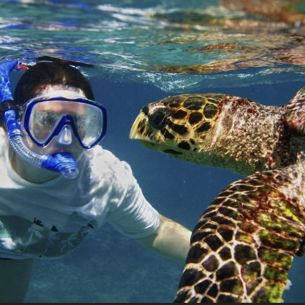 Turtle Beach Power Snorkeling Adventure