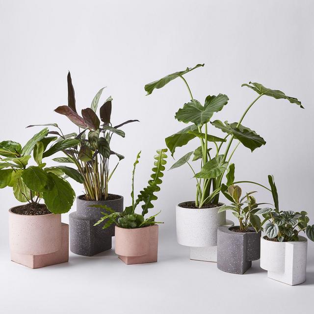 Modern Terrazzo Platform Planters (medium gray)